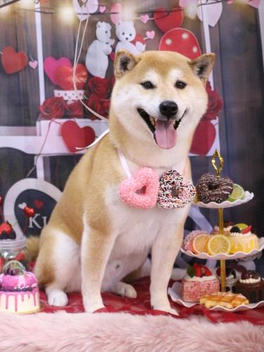 20250204ススムくん